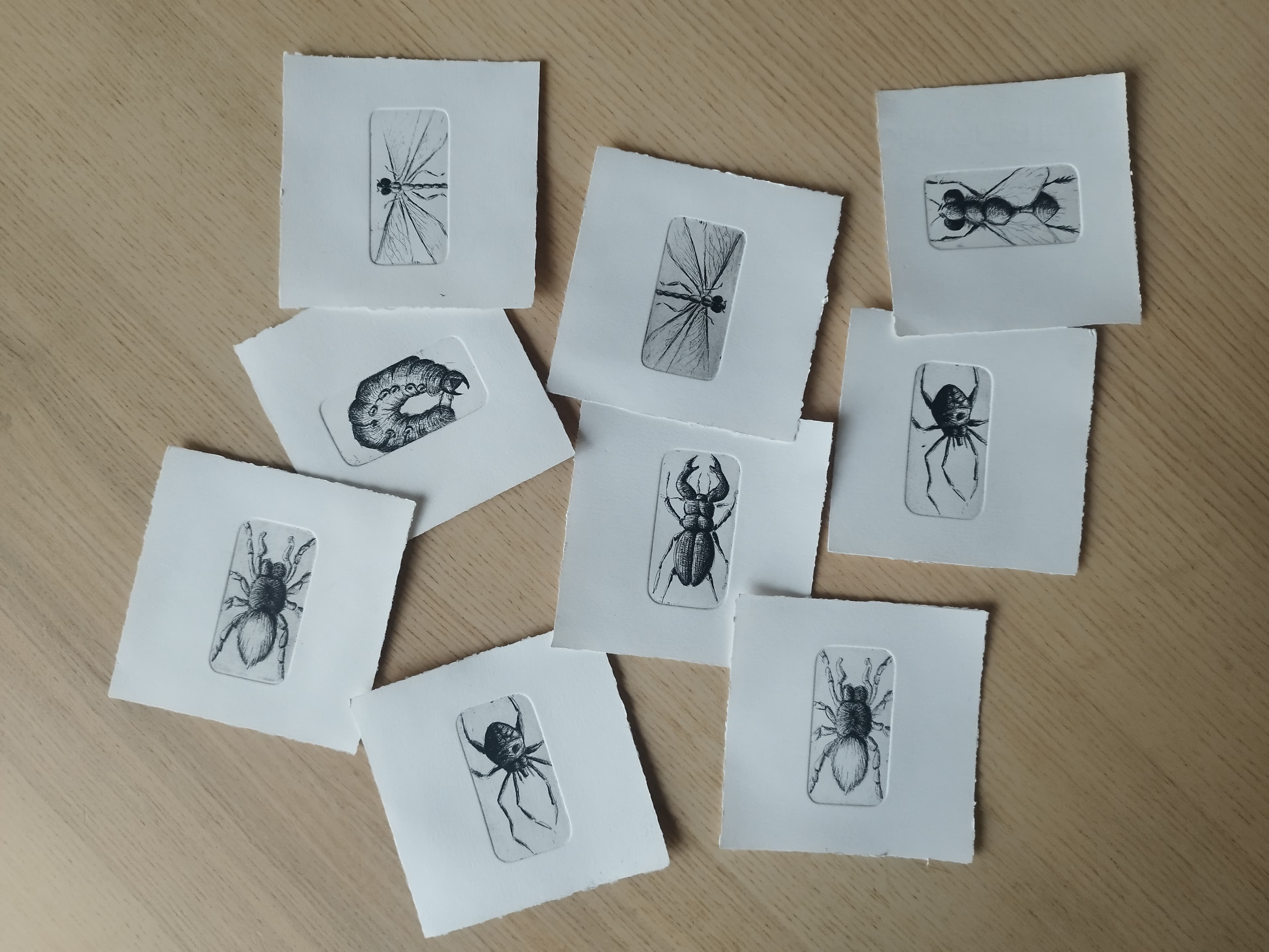 Planche de neuf petites gravures représentant insectes et arachnides : libellule, chenille, cerf-volant, araignées
